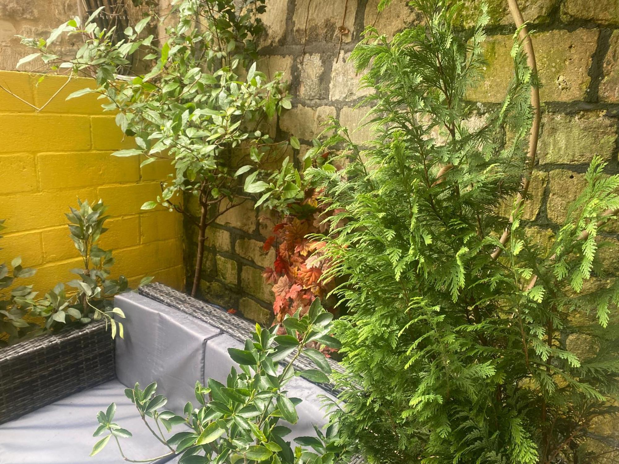 Quiet Lower Floor 2 Bed City Apartment With Private Patio Garden Bath Bagian luar foto